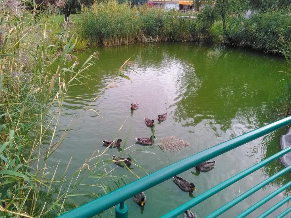 Horvath Apartman Cserkeszőlő Exteriér fotografie